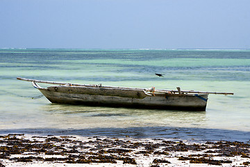 Image showing bird in the  blue lagoon relax   boat pirague