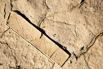 Image showing brown dry sand in sahara wood abstract