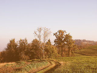 Image showing Marcorengo hill vintage