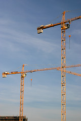 Image showing Cranes