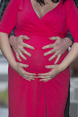 Image showing Pregnant