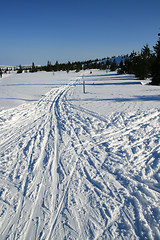 Image showing Ski tracks