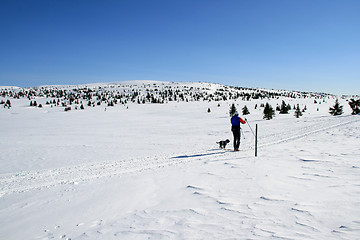 Image showing Winter landscape