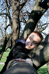 Image showing girl in a tree