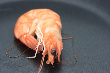 Image showing Shrimp on a pan