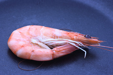 Image showing Shrimp on a pan