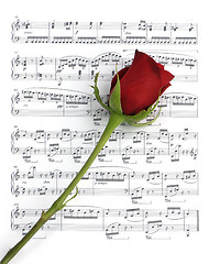Image showing Music Rose