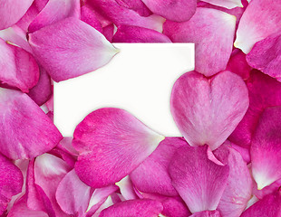 Image showing rose petals with card