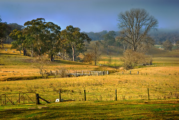 Image showing farmland