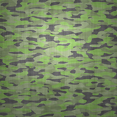 Image showing jungle camouflage