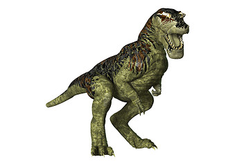 Image showing Dinosaur Tyrannosaurus Rex on White