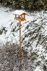 Image showing simple bird feeder