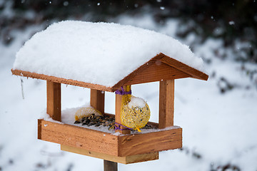 Image showing simple bird feeder