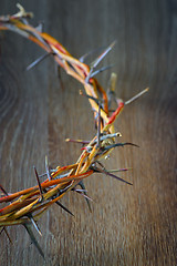 Image showing crown made of thorns isolated 