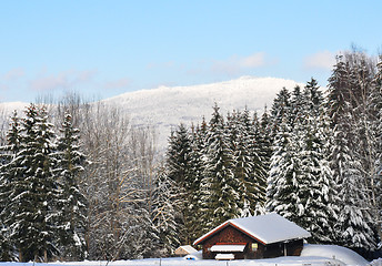 Image showing Kiesruck in winter