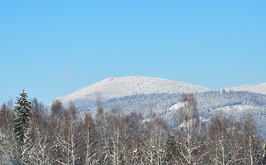 Image showing Falkenstein in winter