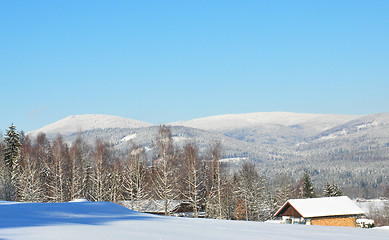 Image showing Falkenstein in winter