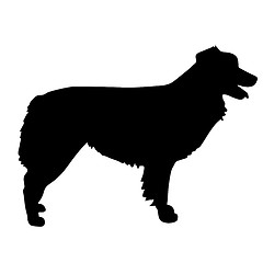 Image showing Australian Shepherd Silhouette