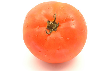 Image showing hydroponic tomato