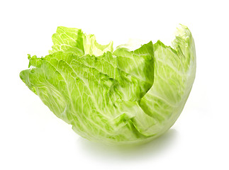 Image showing leaf of iceberg lettuce