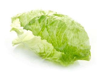 Image showing green iceberg lettuce leaf