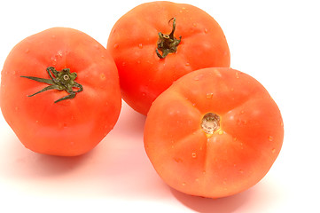 Image showing hydroponic tomatoes on white