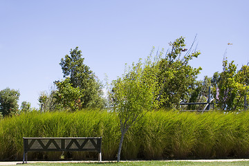 Image showing Chair in the park