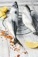 Image showing Carcasses frozen mackerel