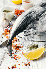 Image showing one frozen mackerel