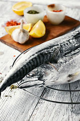 Image showing Carcasses frozen mackerel