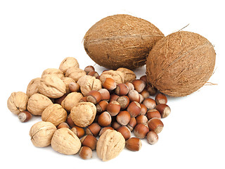 Image showing nuts