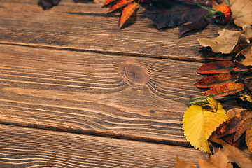 Image showing Background with wooden table and autumnal leaves