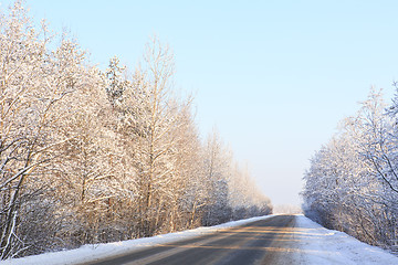 Image showing Winter road through snowy forests