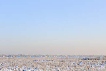 Image showing snow-covered field with grass