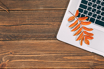 Image showing Background with laptop and autumnal leaves