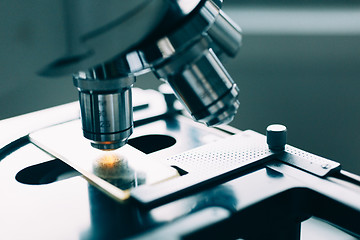 Image showing Microscope in Laboratory 