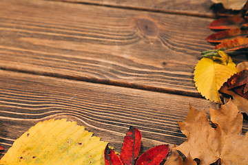 Image showing Background with wooden table and autumnal leaves