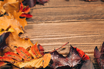 Image showing Background with wooden table and autumnal leaves