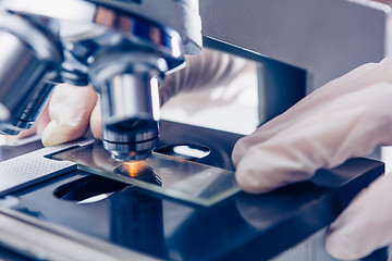 Image showing Scientist hands with microscope