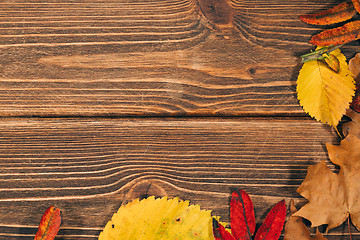 Image showing Background with wooden table and autumnal leaves