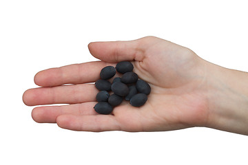 Image showing Lotus seeds in hand