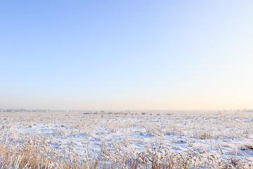 Image showing snow-covered field with grass