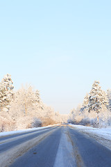 Image showing Winter road through snowy fields and forests