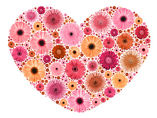 Image showing Heart symbol from motley flowers on white