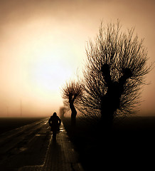 Image showing walking towards the mist