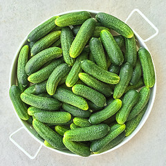 Image showing Tray with fresh green cucumbers