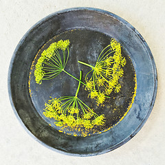 Image showing Fresh dill flowers in a metal dish