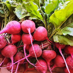 Image showing Bright fresh radish