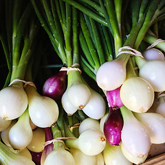 Image showing Fresh onions at the market