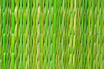 Image showing Bamboo detail